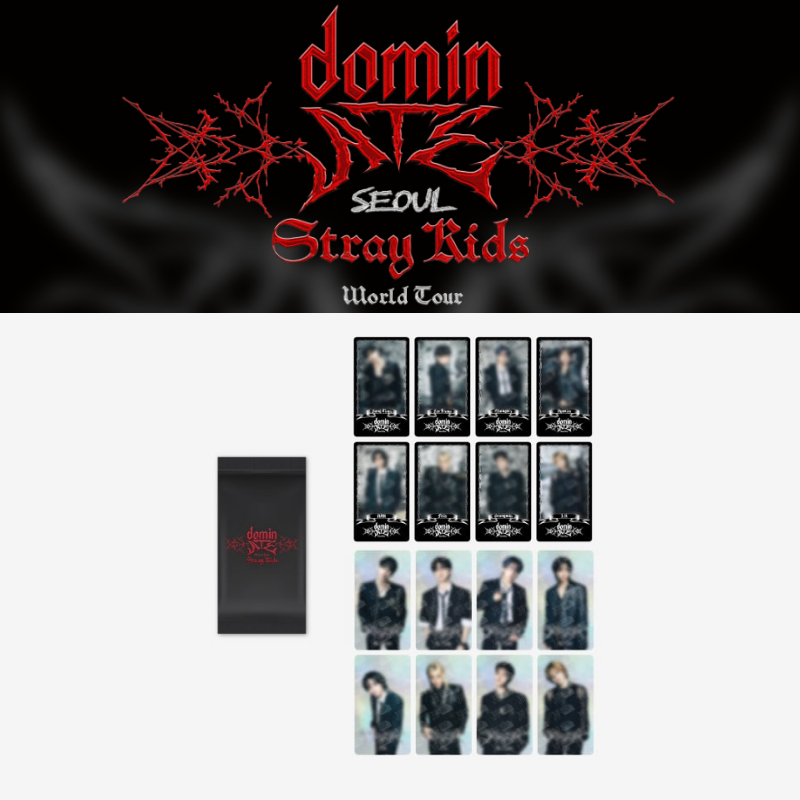 스트레이키즈 SKZ Stray Kids World Tour dominATE SEOUL 스트레이키즈 SKZ Stray Kids World Tour dominATE SEOUL