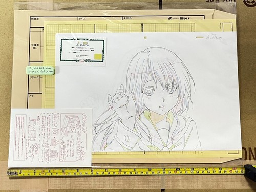 Seltenes Hibike Sound Euphonium Reina 5 Kunstdruckpapier Kyoto Animation Stab Handzeichnung - Bild 1 von 7