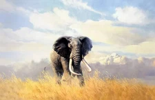 MQ-OP0577 Handmade Painted Elephant Animal Oil Painting Art On Canvas