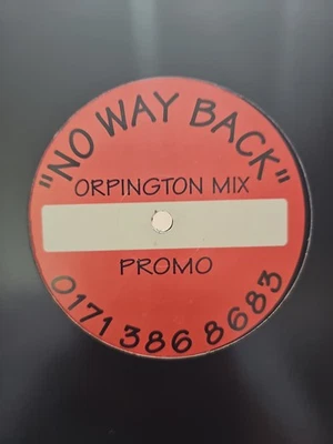 Lisa Abbott – No Way Back - 1997 12" UK Garage House DJ Vinyl Record - Image 1 of 3