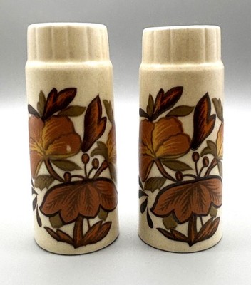 Vintage Royal Worcester Spode Palissy Kismet Tall Salt & Pepper Set OVP