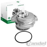 INA Wasserpumpe Passend FüR Seat Cordoba Ibiza VW Golf Jetta Polo Vento | 538