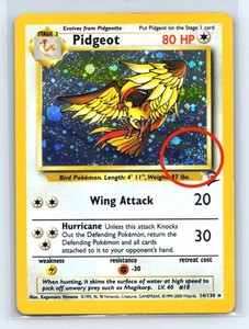 Holo Pidgeot | eBay