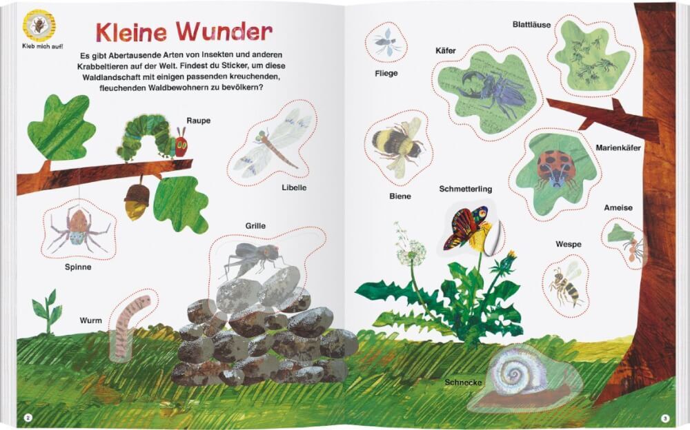 Thumbnail - Die Kleine Raupe Nimmersatt - Mein Buch Der Krabbeltiere