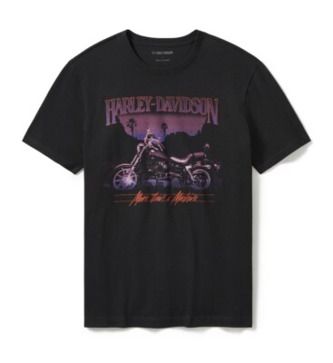 HARLEY-DAVIDSON Lowrider Sundown T-Shirt für Herren