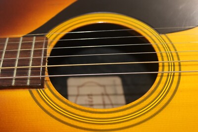Maxwin Pearl Musical Instruments Acoustic/Electric Guitar