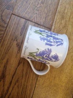 Dunoon Bone China Spring & Summer Flowers Bute Mug (Bluebell)