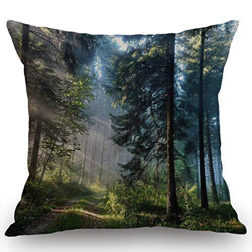 Nature Misty Cotton Linen Throw Pillow Cover for Home and Office SW-005