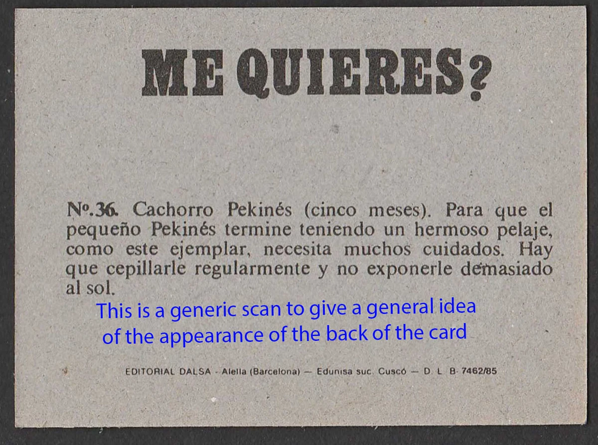 Dogs Spanish Trade Trading card circa 1985 54 Rottweiler Dog