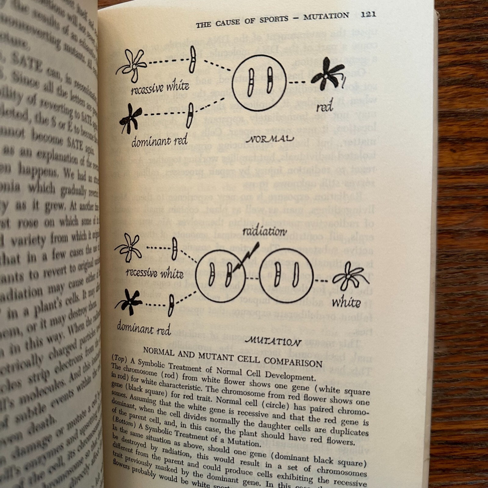 Create New Flowers and Plants by John James 1966 1st Ed Hardcover VERY GOOD