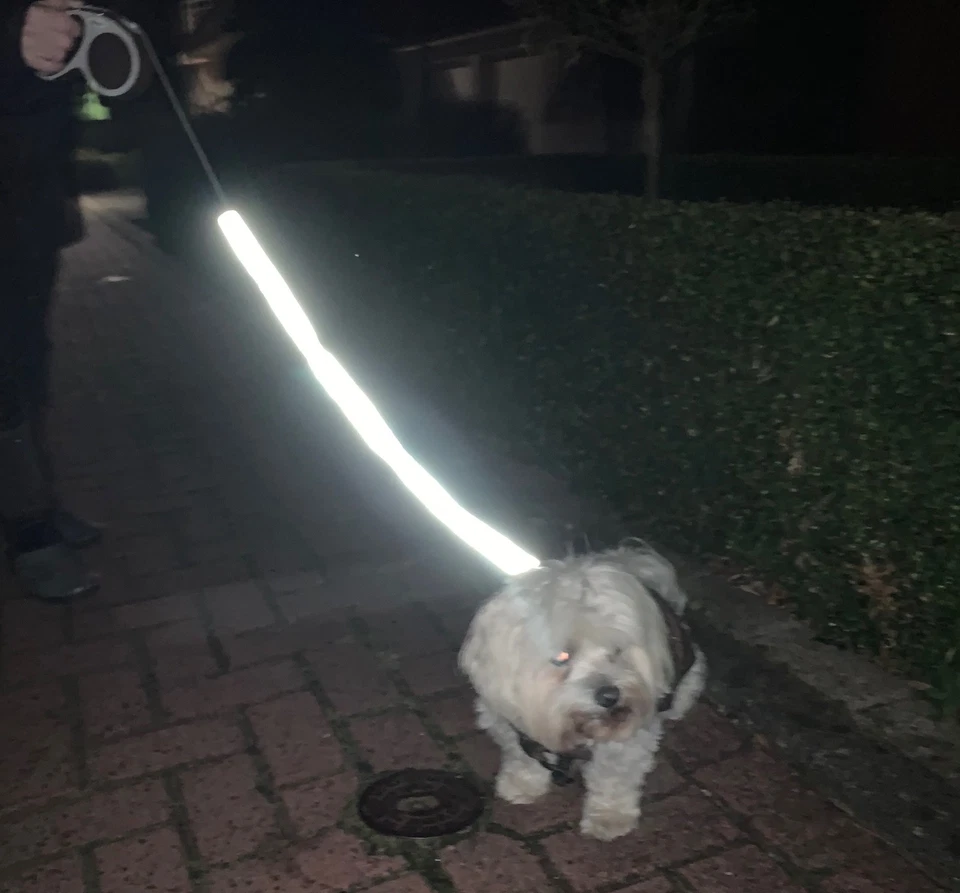 SANDRII`S ANFERTIGUNG LEINENSOCKE Hundeleine Leinenverlängerung Hundeleuchtleine