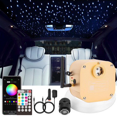 Chinly Starlight Headliner Kit Twinkle 16W 550Pcs 13.1Ft 0.03In Star Lights For