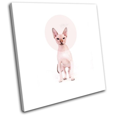 Sphynx Cat Bald Modern Circle Animals SINGLE Leinwand Wand Kunst Bild drucken