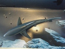 SCHLEICH BLUE SHARK 14550 FREE SHIPPING