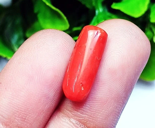 Natural Ox Blood Red Coral Loose Gemstone 3.90+ Ct Certified Stone On eBay - Image 3 of 4