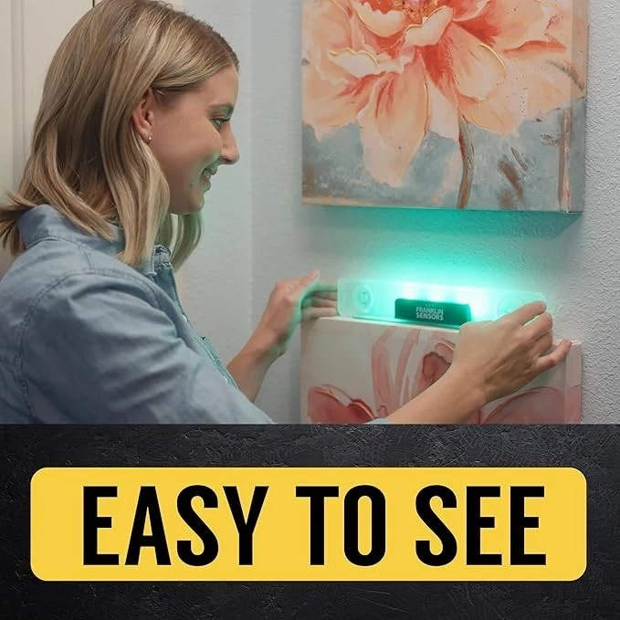 Nivel de luz/nivel de torpedo magnético electrónico digital Franklin Sensors de 12 pulgadas - Imagen 2 de 4