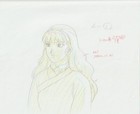 The Twelve Kingdoms Juuni Kokki Genga Douga Original Sketches Pierrot - Youko — photo 4