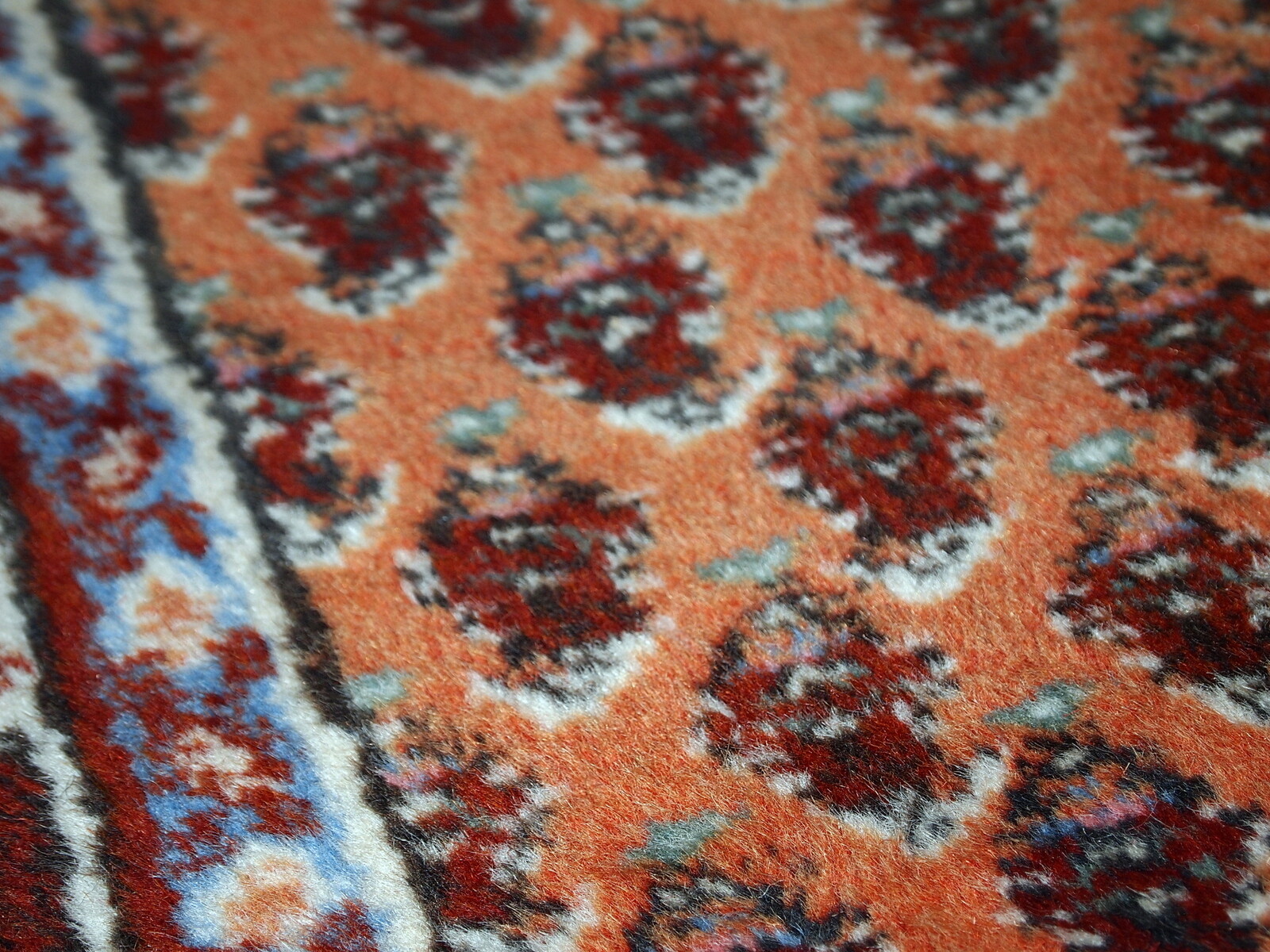 Picture 10 of 10