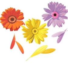 Loves me, Loves me Not Flowers Wallies Murals