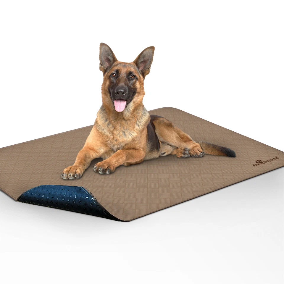 48"x60" Paw Inspired Washable Reusable Dog Pee Pads, Puppy Wee Wee Training Pads