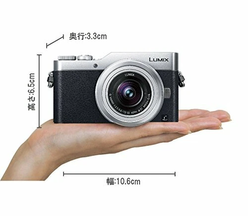 Panasonic Mirrorless Single-Lens Camera Lumix Gf9 Double Zoom Lens