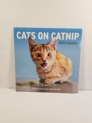 Cats on Catnip Wall Calendar 2020 Workman Publishing NEW + Free