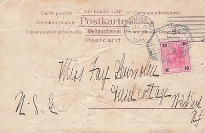 Hungary Austria 1901 New York Cancel 10 Heller Stamp DAMAGE Vtg Postcard J72