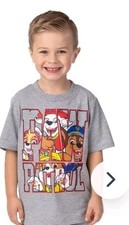 Nickelodeon TM Gray Short Sleeve Paw Patrol Graphic Shortsleeve T-shirt Size 5