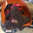 VINTAGE Tonka Pound Puppies Newborn Brown 8" Stuffie 1985 Dog Puppy “Gymshoe Jr” — photo 2