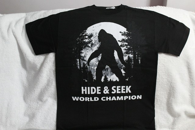 hide and seek world champion t shirt