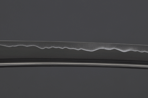1045 Carbon Steel Katana | Fūrin Kazan Tsuba | Clay-Tempered Samurai Sword - Picture 15 of 20