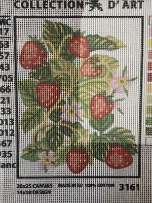 Printed needlepoint tapestry   20x25 Cm  Rto Canvas Only