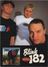 Blink 182 Dude Ranch New Album Tower Records MCA 4"x6" UNP Postcard 12516.3