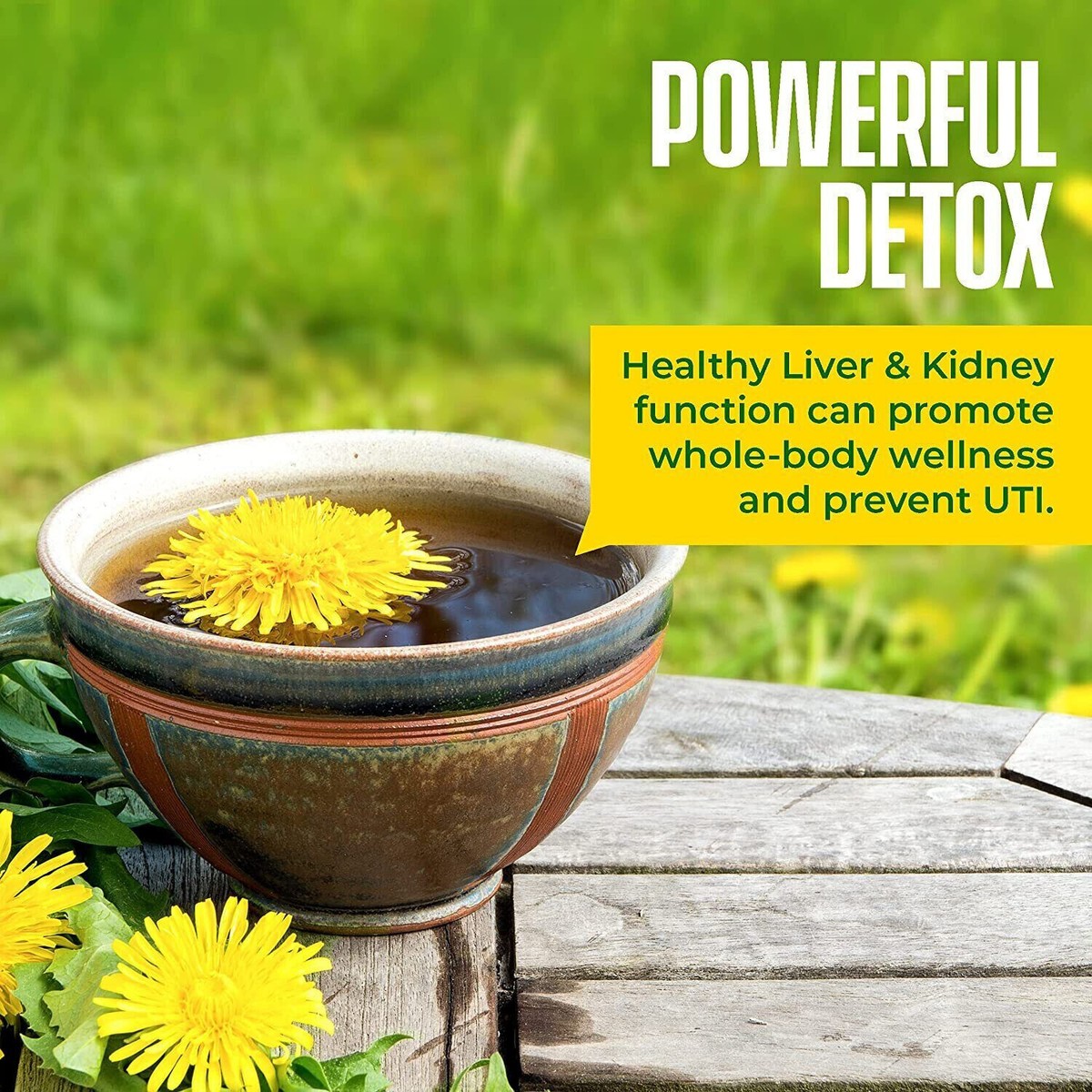 Dandelion Root Tea Benefits The Many Benefits Of Dandelion Root Tea