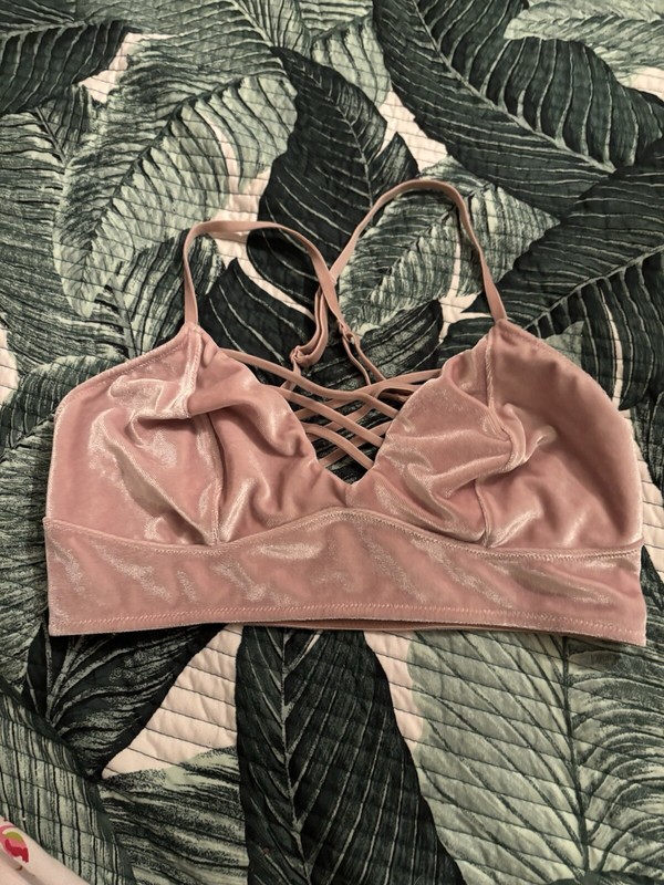 NEW XHILARATION ROSE PINK VELVET BRA SZ M