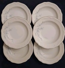 Piatti Fondi Porcellana Schirnding Bavaria Fiori Azzurri W.Germany Vintage