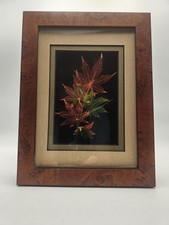 LeafLines Booker Morey Japanese Maple Leaf Art Signed Numbered Shadowbox 8.5"