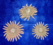 3 to 4" MULTI-LEG STARFISH SEA SHELL  BEACH DECOR TROPICAL REEF CRAFTS