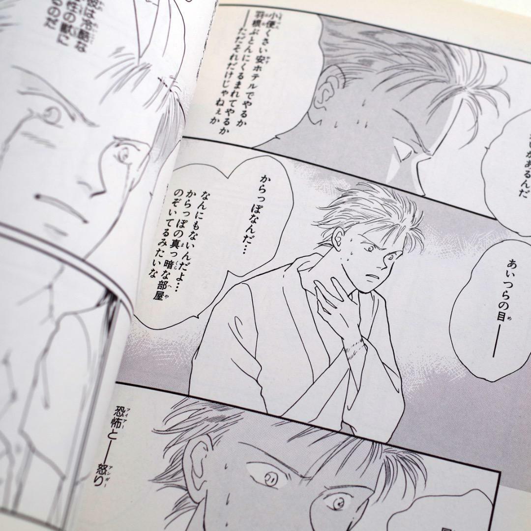 Banana Fish Another Story "Private Opinion" Akimi Yoshida manga eBay