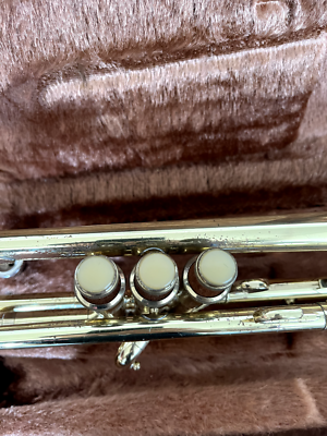 YAMAHA YTR-233 trumpet Mouthpeace Hard case | eBay