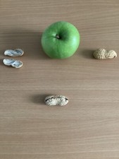 Fruit & Nutcase