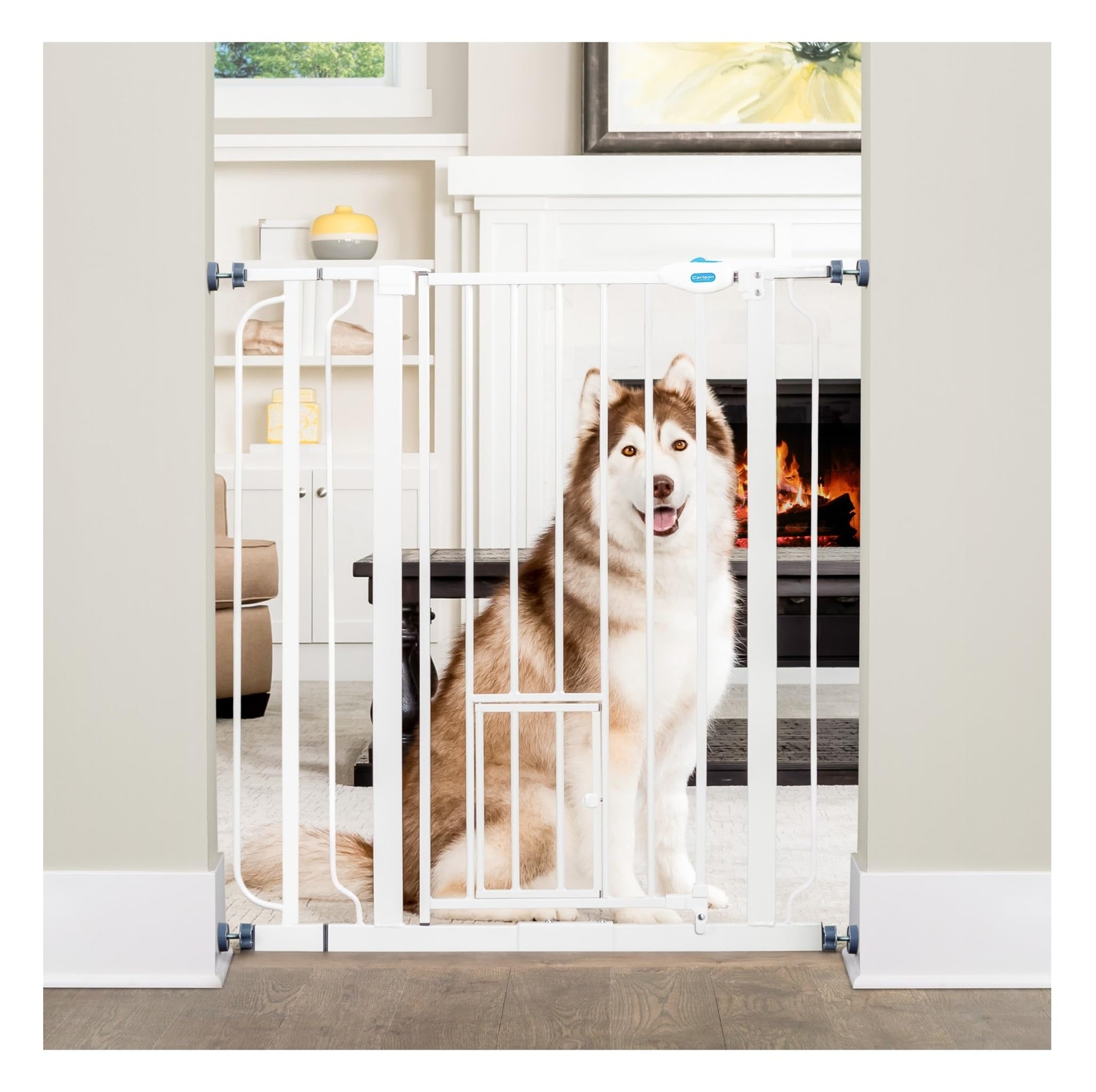 Carlson Extra Tall Walk Through Pet Gate w/ Small Pet Door, 36