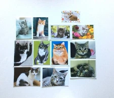 MASSIVE CAT Stationary *Lot of 34*