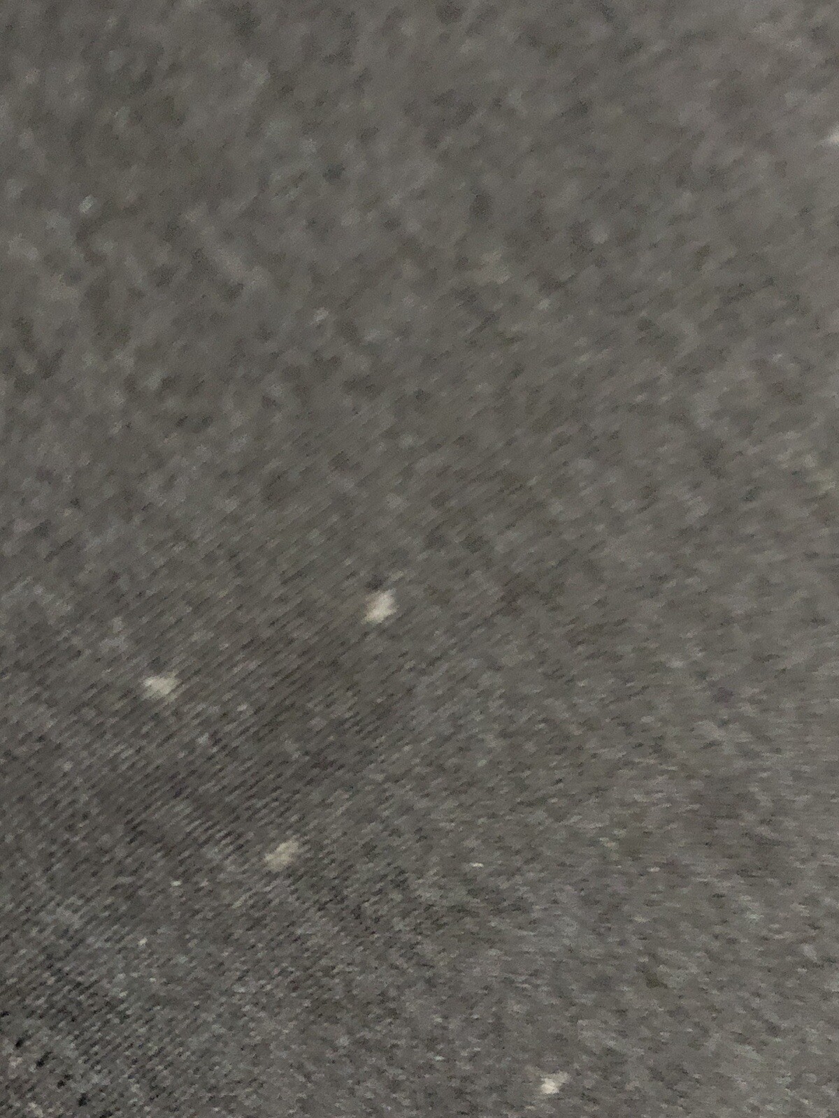 Picture 5 of 7