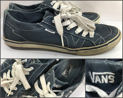 vans low cut skate shoes