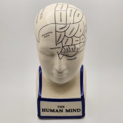 Phrenology Head 骨相学 頭部模型 陶器製 アンティーク Phrenology Head Statue Map of Brain Porcelain Victorian Deco