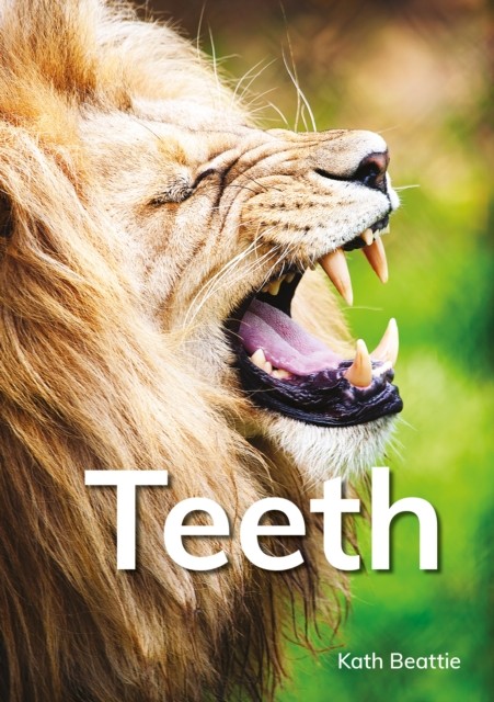 Teeth by Kath Beattie PAPERBACK 9781398260184