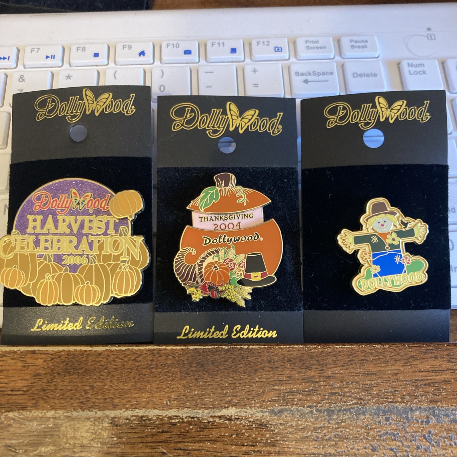 アメリカンビンテージ 日本未発売 トラべロッジ限定 入手困難 珍品