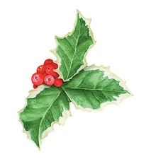 Holly Clusters 25 Leaf Berries Decals Stickers Wallies Berry Christmas Decor New