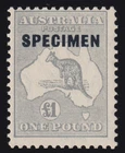 ACSC 54x - 1935 Grey £1 Pound Overprint SPECIMEN Type D Kangaroo Stamp MNH - C42